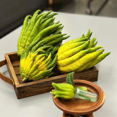 太好闻了柠檬清香味佛手柑家居办公装I饰摆件好养花期长云南直发