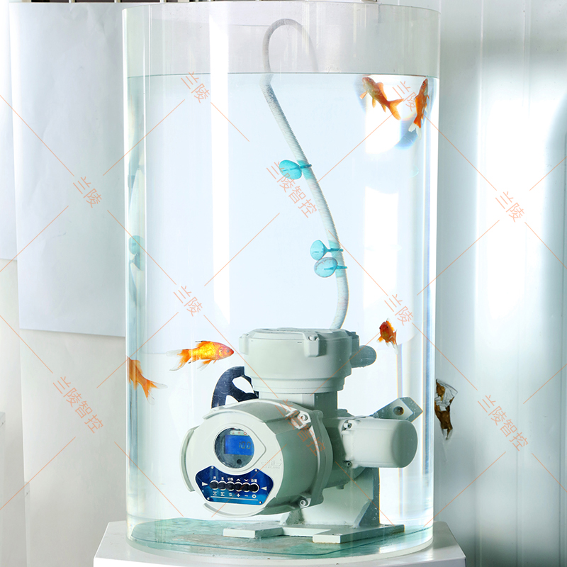 水下电动执行器 电动头 电动阀门 配蝶阀球阀 风阀开关型