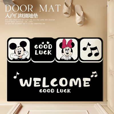 防滑蹭土入户丝圈地垫2024新款