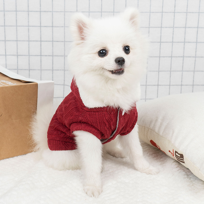 小狗狗针织毛衣新年贵宾泰迪比熊博美小型幼犬宠物猫咪秋冬装衣服