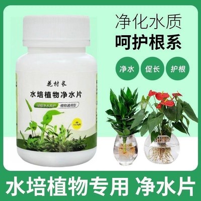 水培植物净水片除臭杀菌消毒富贵竹碗睡莲专用净化水质鲜花保鲜片