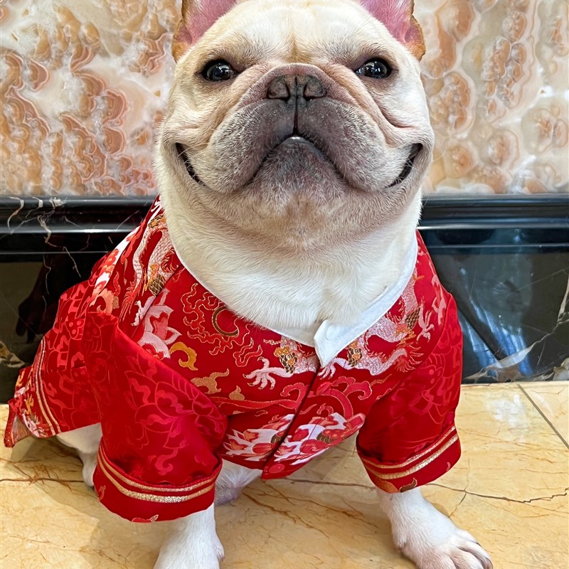 宠物狗狗古装汉服纸样飞鱼服图纸锦衣卫衣服蟒袍比熊泰迪衣服样版