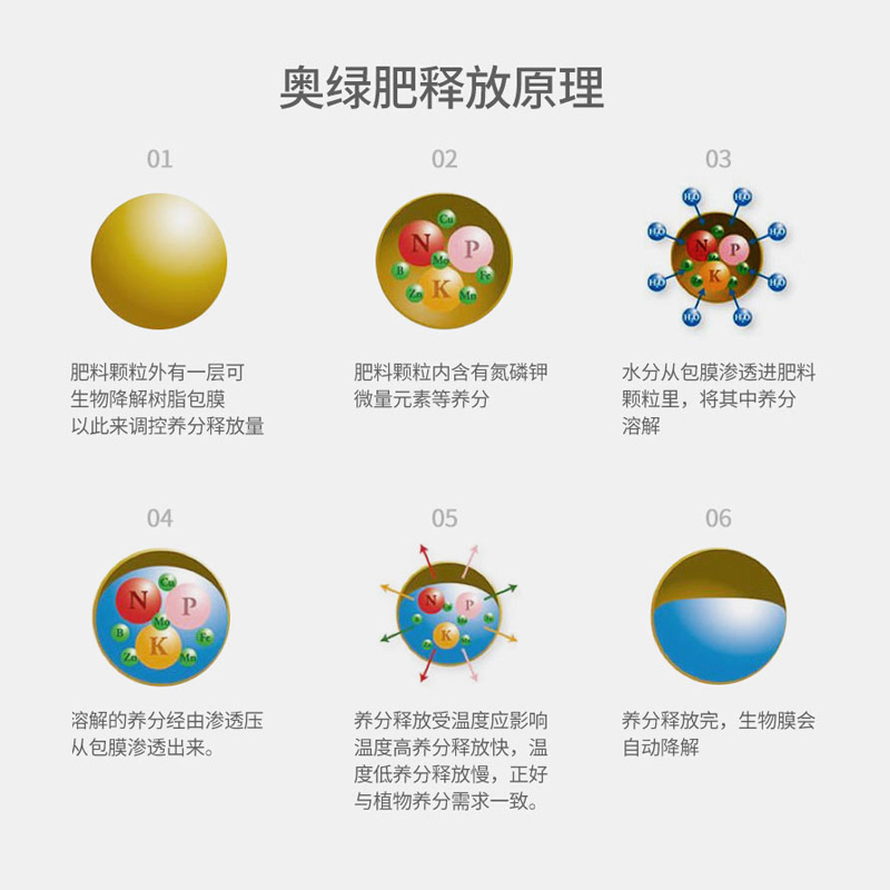 奥绿1号5号A2/318s/315s颗粒缓释肥通用多肉植物盆栽月季兰花卉肥