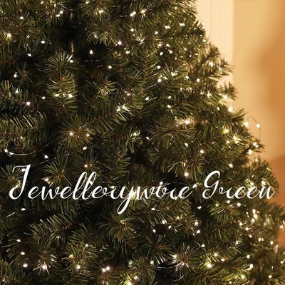 圣诞节装饰品鞭炮灯遥控led串灯小灯泡灯串闪烁满天星圣诞树灯带