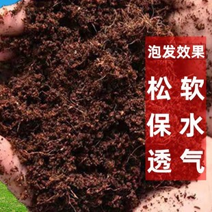圣诞树专用椰砖【店长种植土推荐】透气有机