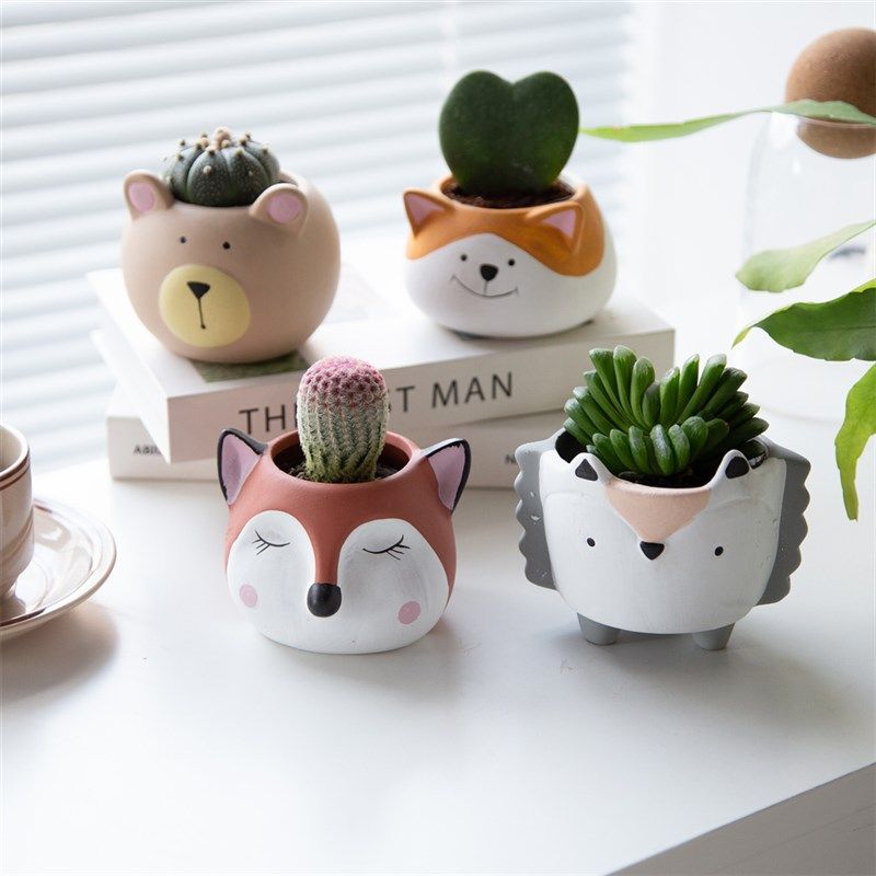 卡通动物盆栽多肉植物组合套餐新手可爱无刺好养幼儿园礼物室内花