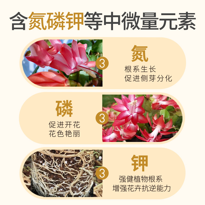 蟹爪兰专用缓释肥复合肥家用型控释颗粒植物盆栽绿植花卉养花肥料