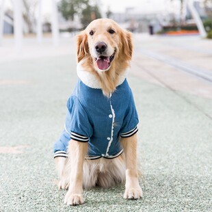 大狗狗秋冬装金毛拉布拉多萨摩耶中型大型犬加厚保暖棉衣冬天衣服