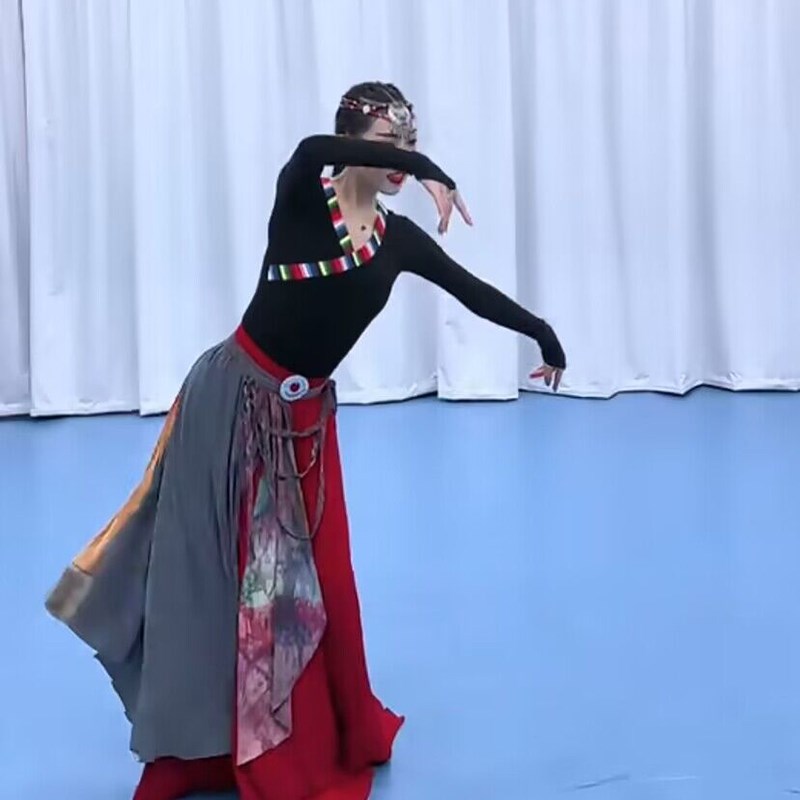 藏族舞蹈演出服装广场舞大摆裙女分体少数民族蒙古成人艺考表演服