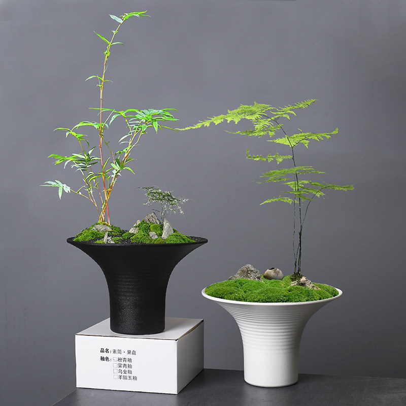 简约素雅侘寂风苔l藓菖蒲文竹花盆陶瓷创意室内米竹造景盆大号无