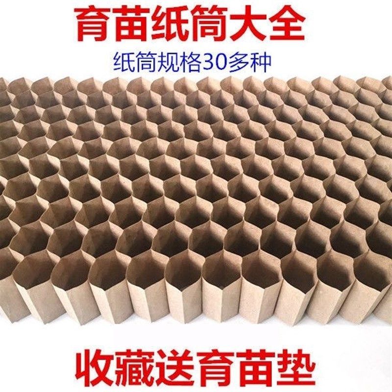 育苗纸筒蔬菜育苗l蜂窝纸杯西瓜纸筒链条纸筒育苗盘营养育苗杯,农机/农具/农膜,育苗盘/营养钵,淘宝优惠券,粉丝福利购,淘宝优惠卷