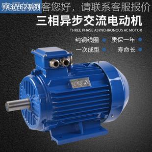 2YE3系列三相异步电机.02w三相电4w机3YE3 132M8v电动机