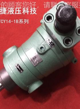 供应 25250YCY140YY14-1B向柱塞泵 高轴压塞柱C泵