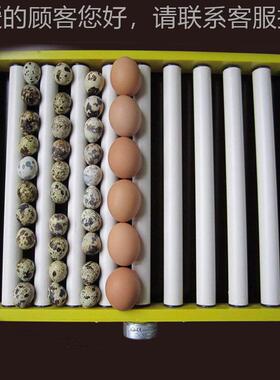 鹅孵化设备 鸡厂家直 全自FGL动 1销80-300枚孵化器 鸭孵化机