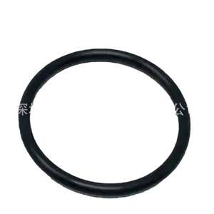 APV H147794 德国安培威密封件原厂直采 原装进口