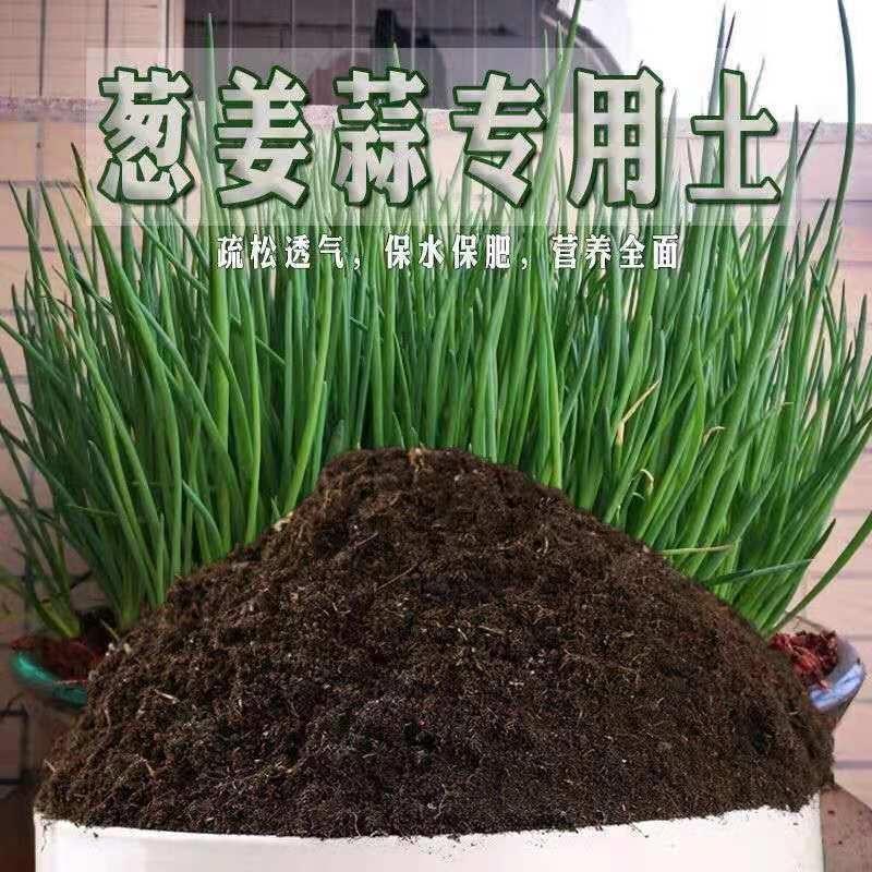 葱姜蒜专用土营养土阳台种菜土盆栽土育苗土蔬菜种植土有机土肥料