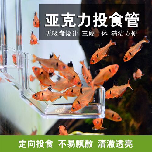 亚克力投食管鱼缸喂食器定向鱼食投喂器鱼虾投食器喂食管防飘散