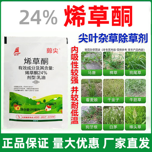 烯草酮乳油农药大豆油菜田一年生禾本科杂草烯草酮苗后除草剂