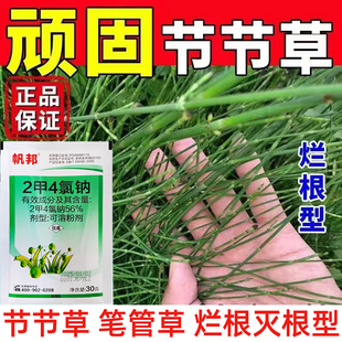 56%2甲4氯钠水稻小麦玉米田草坪阔叶草节节草除草剂烂根剂