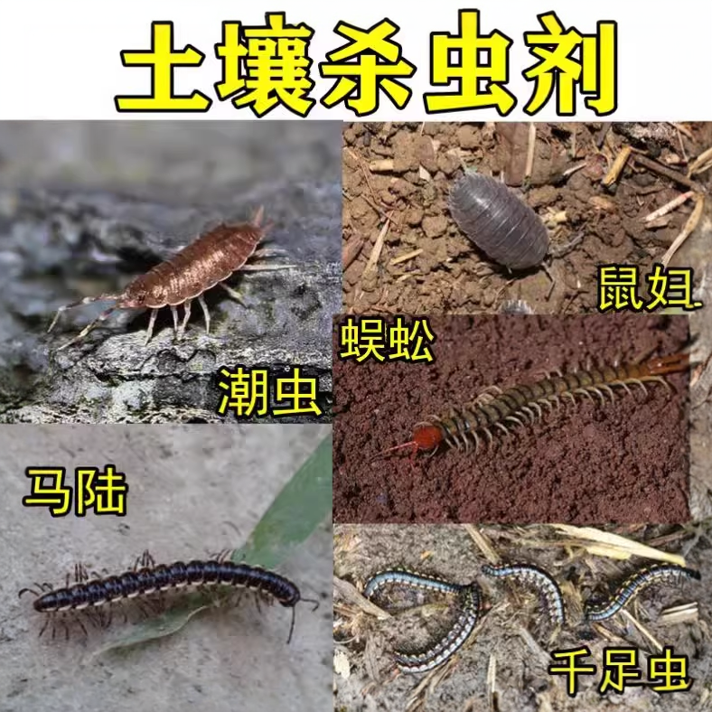 土壤常用杀虫剂花盆土壤害虫杀虫剂蜈蚣蚂蚁潮虫杀虫药地下害虫