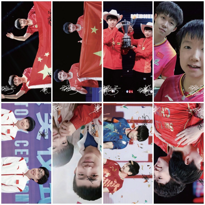 莎头CP海报42X29CM王楚钦孙颖莎