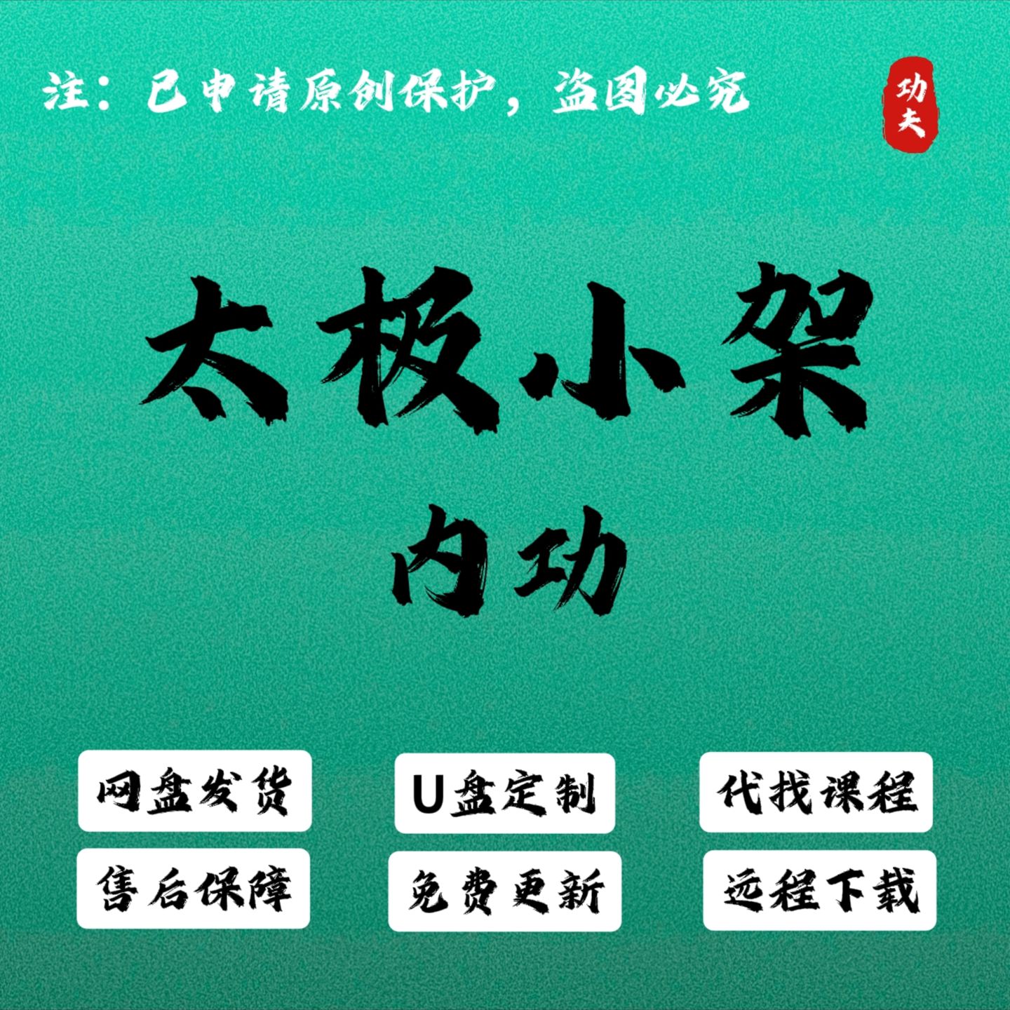 冯老师陈式太极拳小架核心练法视频课程丹田劲力精讲进阶陈氏U盘图片