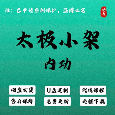 冯老师陈式太极拳小架核心练法视频课程丹田劲力精讲进阶陈氏U盘