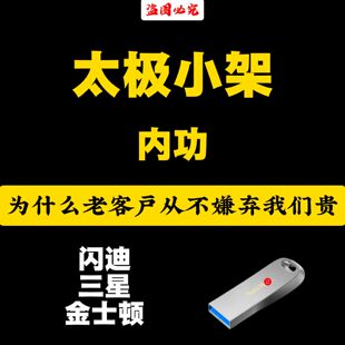 冯老师陈式太极拳小架核心练法视频课程丹田劲力精讲进阶陈氏U盘