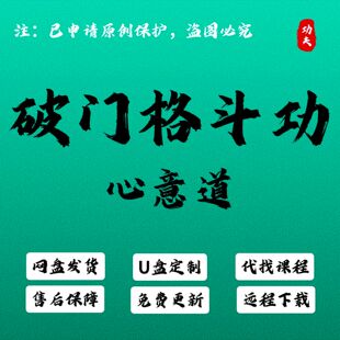 张老师心意道13套视频课入门格斗气沉丹田零基础系统教程源侠u盘