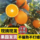 南方特产水果湖南溆浦纽荷尔脐橙新鲜多汁多肉甜好吃现摘现发橙子