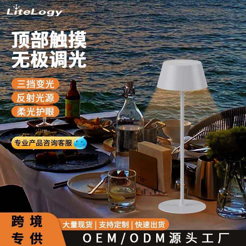 跨境热销led护眼台灯触摸调光阅读酒店充插电款两用民宿桌面氛围