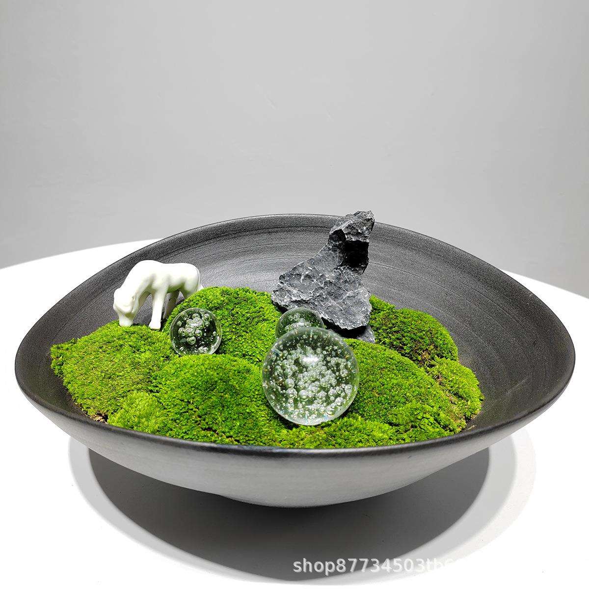 现代永生苔藓盆景售楼部花艺样板间茶几洽谈桌新中式绿植软装饰品