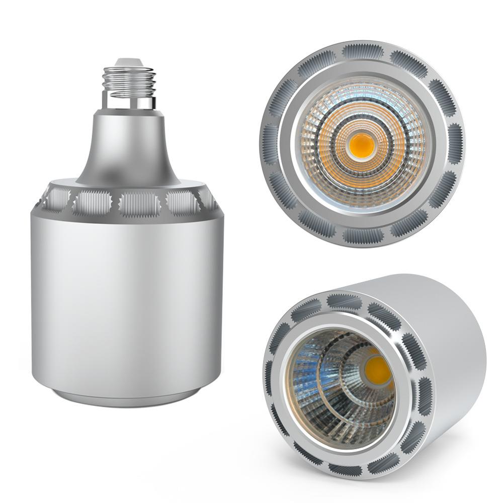 植物补光灯PAR38私模全光谱家居绿植上色灯块根蕨类植物灯