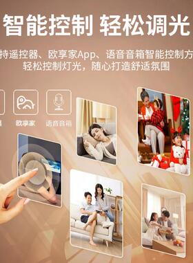 书房控制卧室吸顶灯led客厅轻奢餐厅智能吸顶灯灯具照明静晓