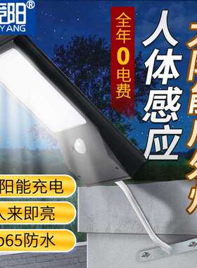 LED智能感应路灯太阳能充电室外防水庭院灯户外大泛光照明投光灯