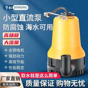 12V24V220V小型直流潜水泵船舱微型抽水排水机家用船用电瓶水泵