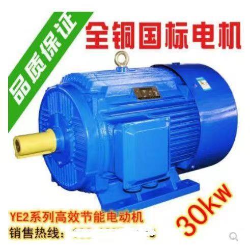 三相异步电动机YE2系列全新铜芯国标Y200L-2-4极30KW千瓦马达380v