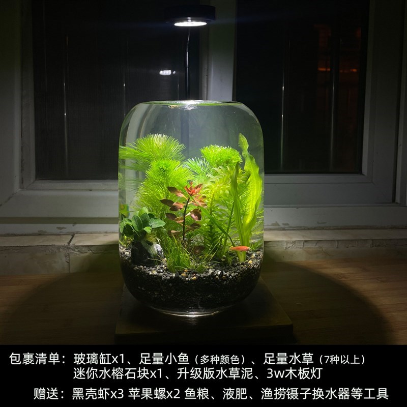 生态瓶微景观鱼小型小鱼缸桌面造景观赏G鱼虾diy创意W礼物生态鱼