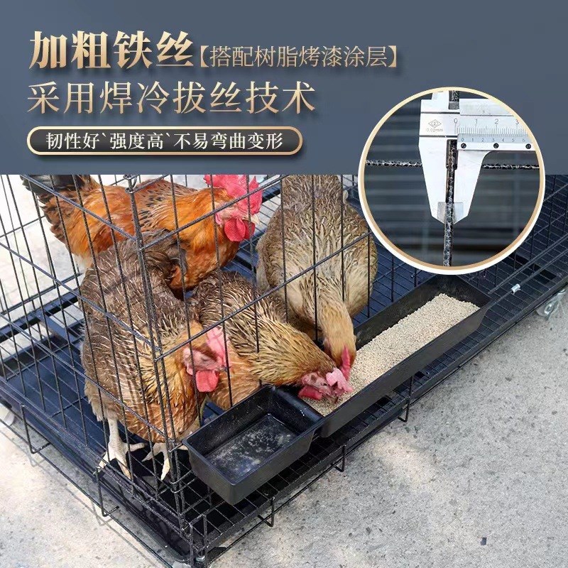 鸡笼子养殖笼铁丝笼加粗s养鸡笼子鸡舍家用特别大号折叠自动滚蛋