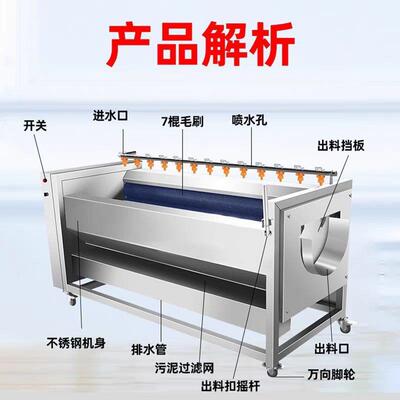 机清芋头姜生莲藕毛刷脱皮洗机生蚝海鲜全去自动土豆皮清PWP洗机