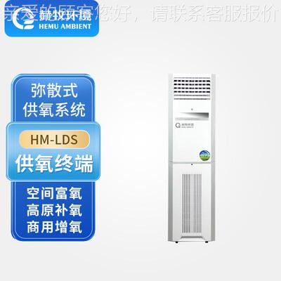 弥漫型布氧终端平原持续氧吧系统变压吸附HM-LDS源头生产