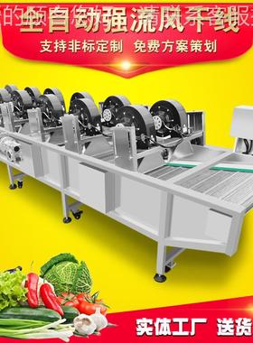 芹香菇菌类压清洗机定 制菠菜菜高泡清气洗线 果蔬清洗UCE震动风