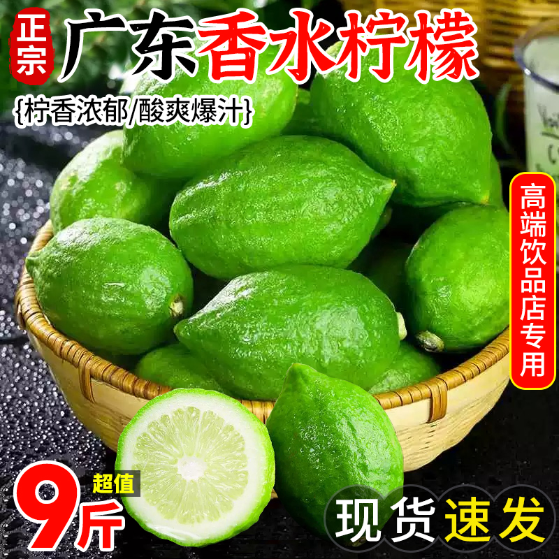 广东香水柠檬10斤正宗青柠檬一级果无籽当季奶茶店专用手打柠檬茶