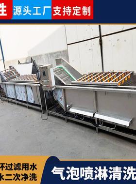 隆胜全自动菠菜油菜气泡清洗机 大型高压喷淋叶菜净菜流水线设备