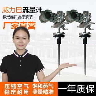 阿牛巴流量计一体插入式气体煤空燃氮气均速管威力巴德塔巴流量计