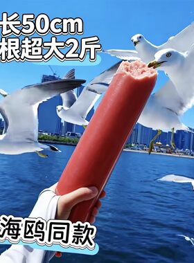 网红喂海鸥的火腿肠超大2斤海边威海大连旅游涮锅餐饮商用大火腿