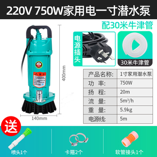 潜水泵220v家用浇水泵交流小型高扬程抽水机农用灌溉排污水泵