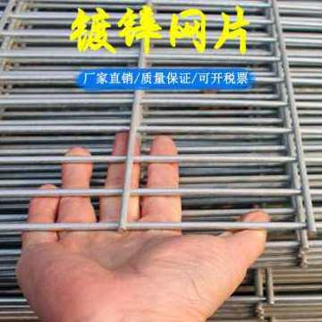 厂促爆铁丝网围栏片加粗格网片镀锌网片网片建筑笼网铁网网格底品