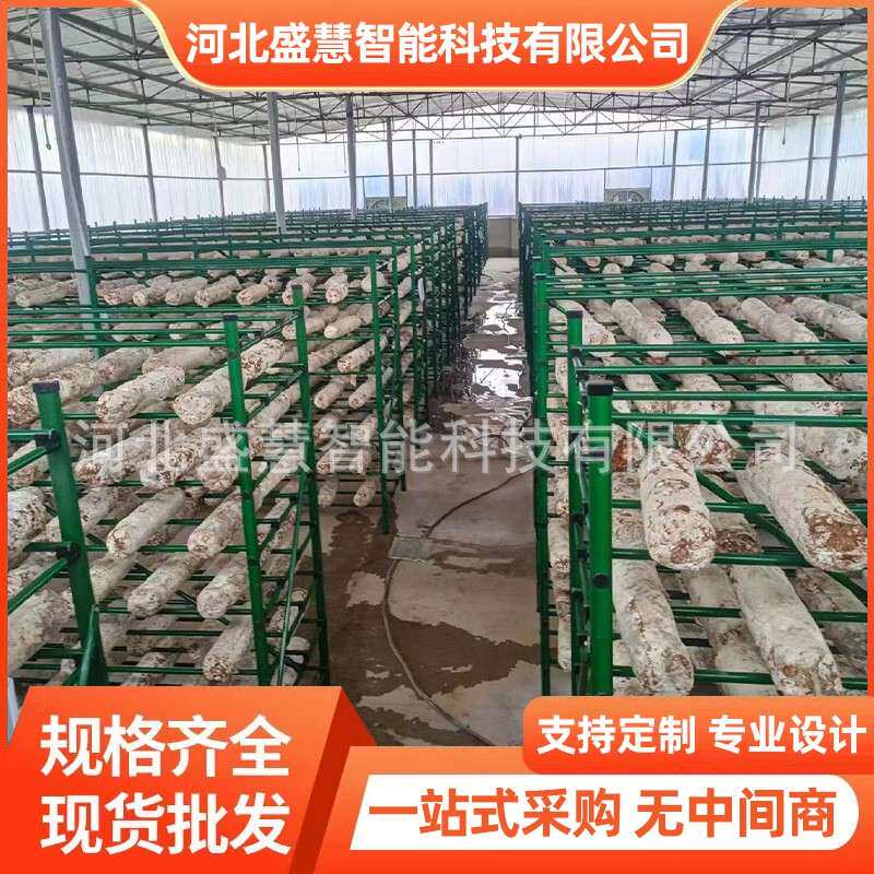 架养殖蘑菇架菌蘑温室GJX大棚食用菌培养架菇菌房多层培菌菇种植