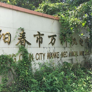 家用自吸泵冷热水全铜增压泵自来水管加压抽水泵 广东旋涡式